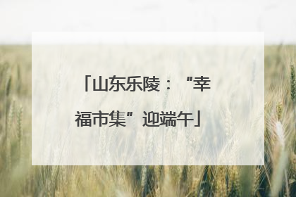 山东乐陵：“幸福市集”迎端午