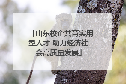 山东校企共育实用型人才 助力经济社会高质量发展
