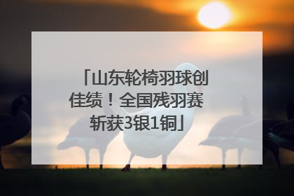 山东轮椅羽球创佳绩！全国残羽赛斩获3银1铜