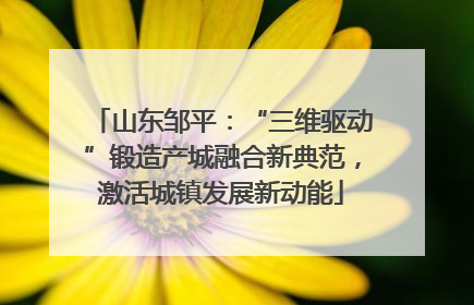 山东邹平：“三维驱动”锻造产城融合新典范，激活城镇发展新动能