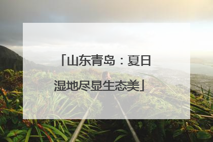 山东青岛：夏日湿地尽显生态美