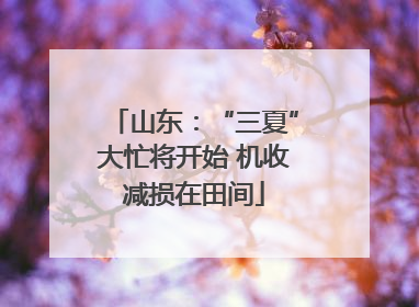 山东：“三夏”大忙将开始 机收减损在田间