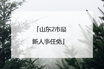 山东2市最新人事任免