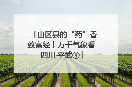 山区县的“药”香致富经丨万千气象看四川·平武③