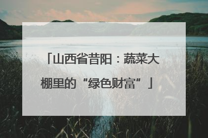 山西省昔阳：蔬菜大棚里的“绿色财富”
