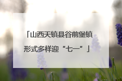 山西天镇县谷前堡镇 形式多样迎“七一”