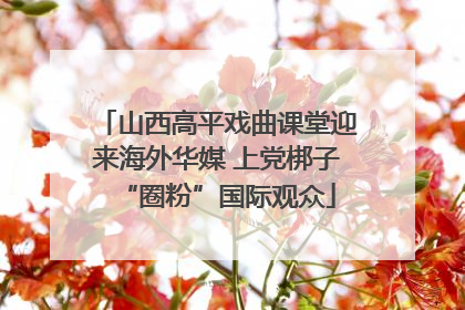 山西高平戏曲课堂迎来海外华媒 上党梆子“圈粉”国际观众