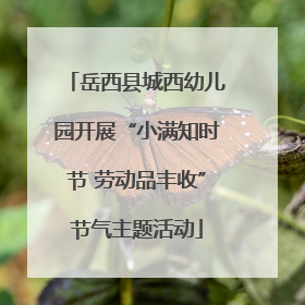 岳西县城西幼儿园开展“小满知时节 劳动品丰收”节气主题活动