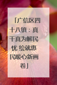 广信区四十八镇：真干真为解民忧 绘就惠民暖心新画卷