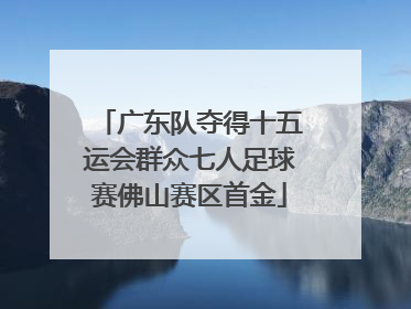广东队夺得十五运会群众七人足球赛佛山赛区首金