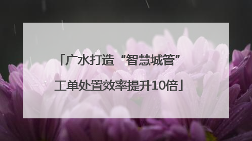 广水打造“智慧城管” 工单处置效率提升10倍