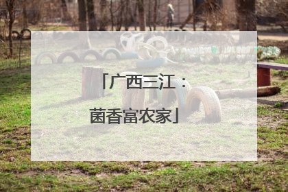 广西三江：菌香富农家