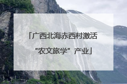 广西北海赤西村激活“农文旅学”产业
