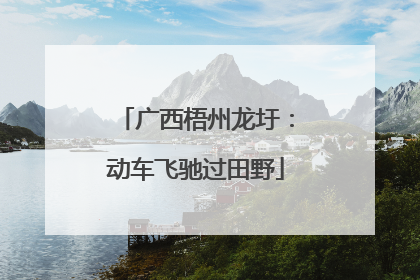 广西梧州龙圩：动车飞驰过田野