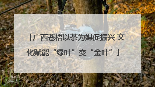 广西苍梧以茶为媒促振兴 文化赋能“绿叶”变“金叶”