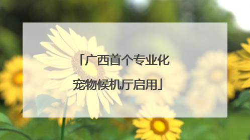 广西首个专业化宠物候机厅启用