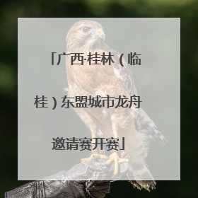 广西·桂林（临桂）东盟城市龙舟邀请赛开赛