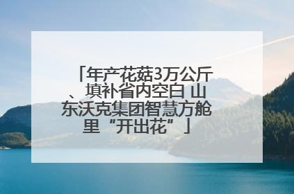 年产花菇3万公斤、填补省内空白 山东沃克集团智慧方舱里“开出花”