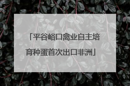 平谷峪口禽业自主培育种蛋首次出口非洲