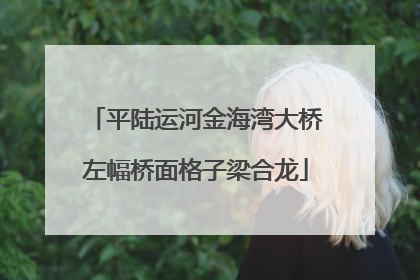 平陆运河金海湾大桥左幅桥面格子梁合龙