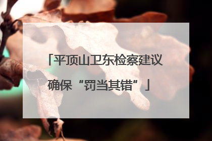 平顶山卫东检察建议确保“罚当其错”