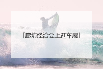 廊坊经洽会上逛车展