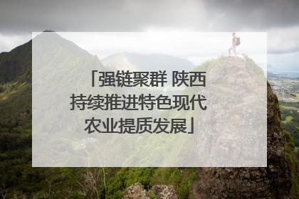 强链聚群 陕西持续推进特色现代农业提质发展