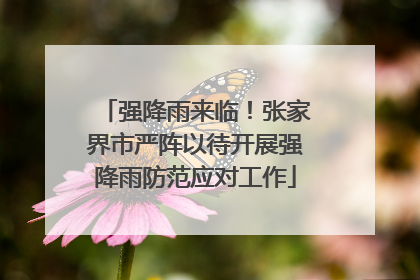 强降雨来临！张家界市严阵以待开展强降雨防范应对工作