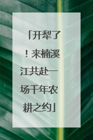 开犁了！来楠溪江共赴一场千年农耕之约