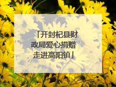 开封杞县财政局爱心捐赠走进高阳镇