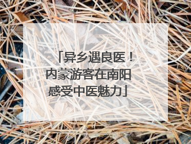 异乡遇良医！内蒙游客在南阳感受中医魅力