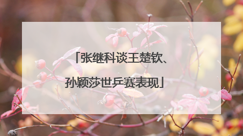 张继科谈王楚钦、孙颖莎世乒赛表现