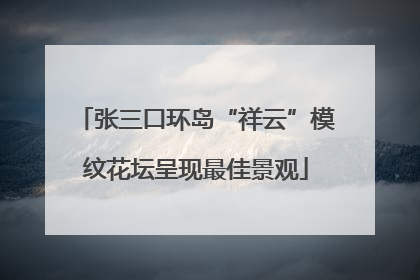 张三口环岛“祥云”模纹花坛呈现最佳景观
