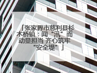 张家界市慈利县杉木桥镇：闻“汛”而动显担当 齐心筑牢“安全堤”