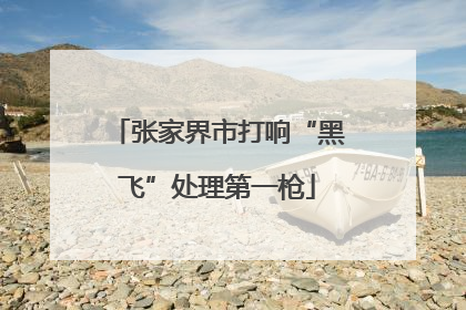 张家界市打响“黑飞”处理第一枪