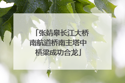 张靖皋长江大桥南航道桥南主塔中横梁成功合龙