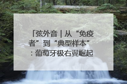 弦外音｜从“免疫者”到“典型样本”：葡萄牙极右翼崛起背后的欧洲困局