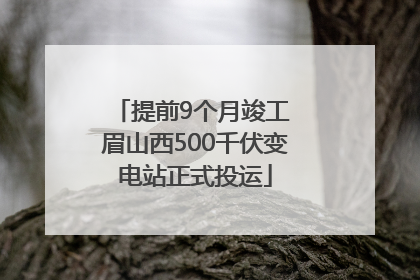 提前9个月竣工 眉山西500千伏变电站正式投运
