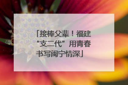 接棒父辈！福建“支二代”用青春书写闽宁情深