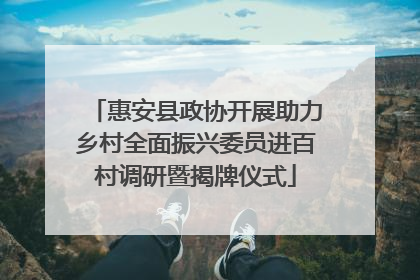 惠安县政协开展助力乡村全面振兴委员进百村调研暨揭牌仪式