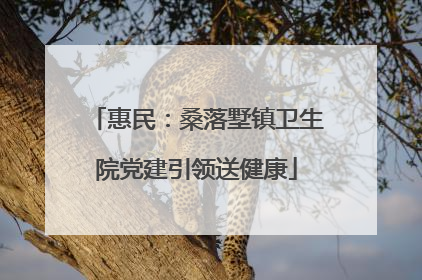 惠民：桑落墅镇卫生院党建引领送健康
