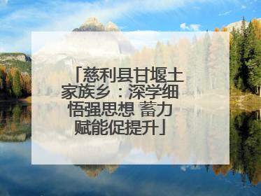 慈利县甘堰土家族乡：深学细悟强思想 蓄力赋能促提升