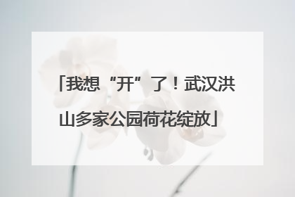 我想“开”了！武汉洪山多家公园荷花绽放