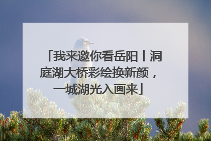 我来邀你看岳阳丨洞庭湖大桥彩绘换新颜，一城湖光入画来