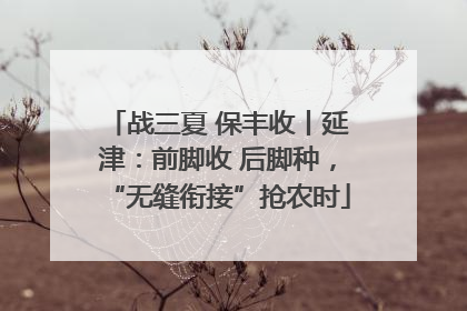 战三夏 保丰收丨延津：前脚收 后脚种，“无缝衔接”抢农时