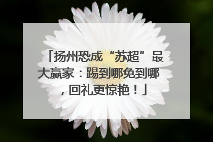 扬州恐成“苏超”最大赢家：踢到哪免到哪，回礼更惊艳！