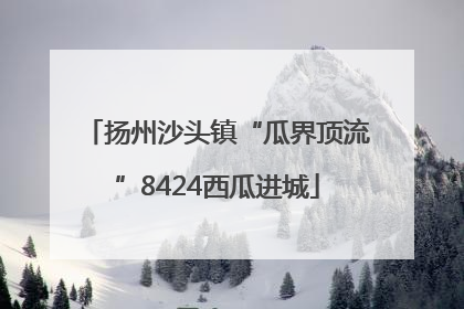 扬州沙头镇“瓜界顶流”8424西瓜进城