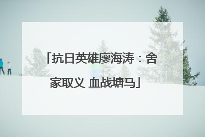 抗日英雄廖海涛：舍家取义 血战塘马