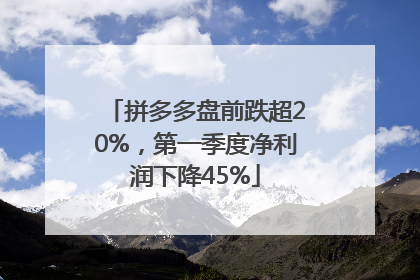 拼多多盘前跌超20%，第一季度净利润下降45%