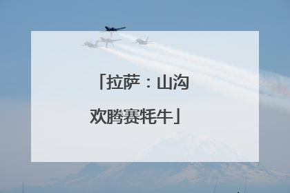 拉萨：山沟欢腾赛牦牛